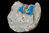 Vibrant Blue Cavansite Clusters on Stilbite - India #176805-1
